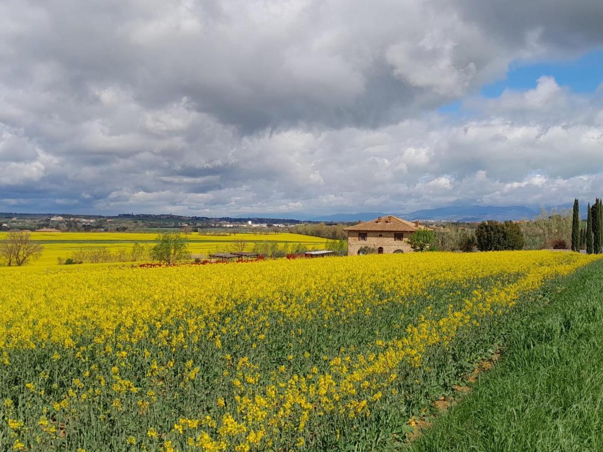Podere Molinaccio Панікале Екстер'єр фото