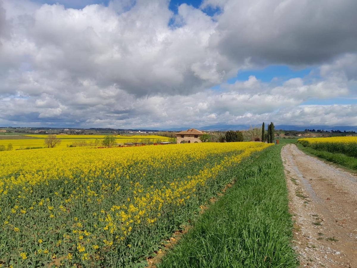 Podere Molinaccio Панікале Екстер'єр фото