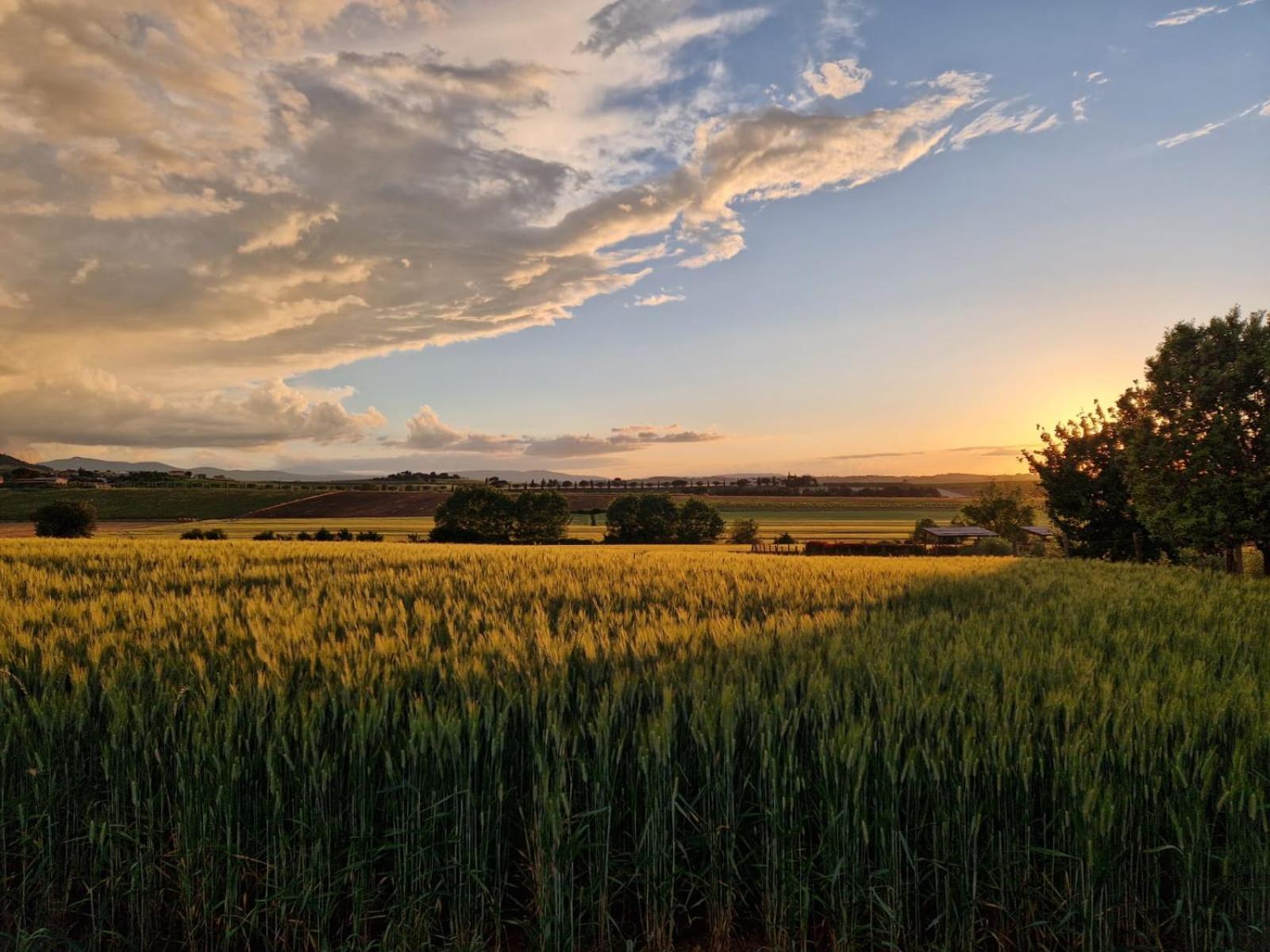 Podere Molinaccio Панікале Номер фото